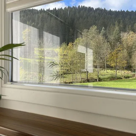 Hirschle | Sauna | Hunde | Zaun Сasa de vacaciones *